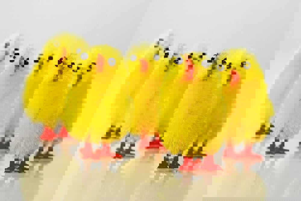 Påske Påske