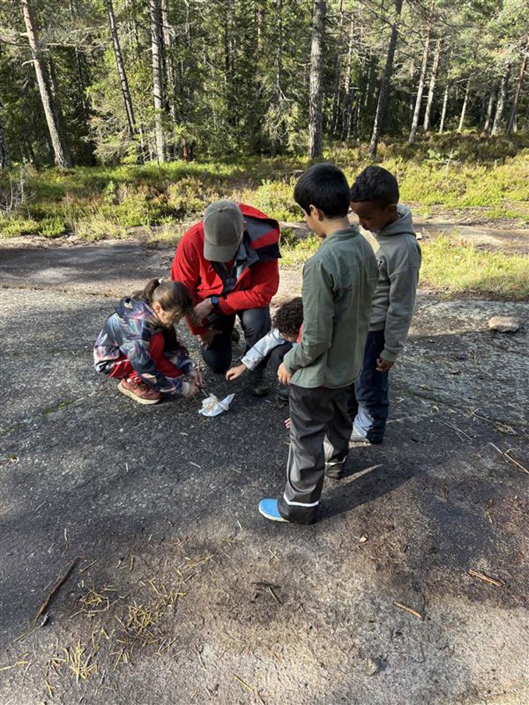 En gruppe barn som leker i jorda
