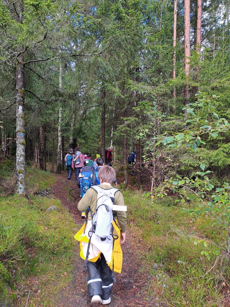 En gruppe mennesker som vandrer i skogen