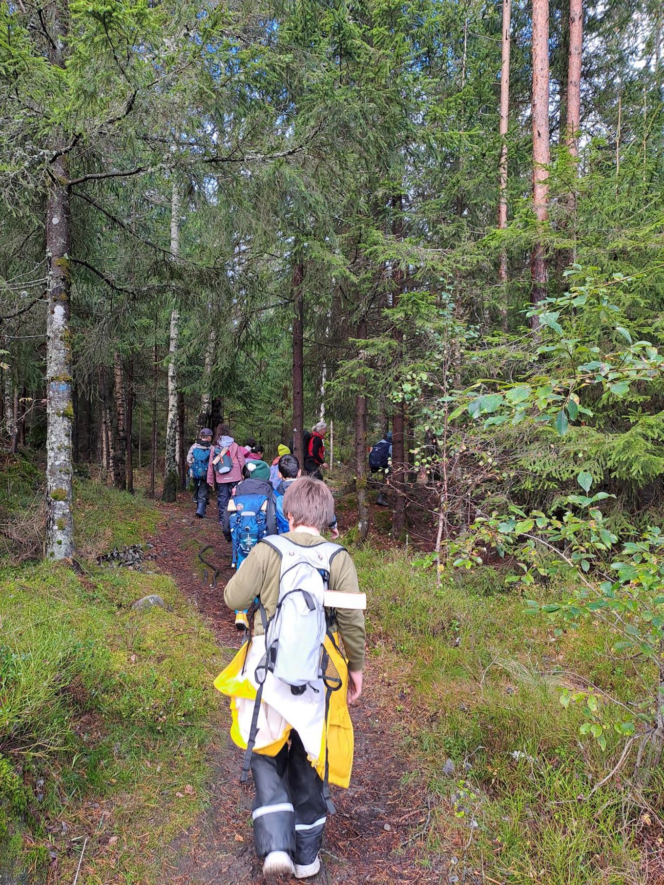 En gruppe mennesker som vandrer i skogen En gruppe mennesker som vandrer i skogen