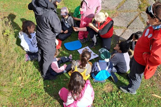 en gruppe mennesker som sitter på bakken utenfor
